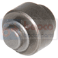 DELIVERY VALVE         , Zetor, UR I - 6341