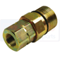 COUPLER QRSM 06-04 BFF , Manitou, distribution-couplers-screw jacks, Quick couplings, To screw - GAZ female net (male part)