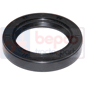 SPY SIMPLE LEVR 60x75x8 , Zetor, Seals, Oil seal, Oil seals (specific)