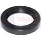 BAGUE ETANCHEITE S.C. , Zetor, Seals, Oil seal, Oil seals (specific)