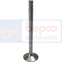 INLET VALVE , Volvo, Engine and components, Cylinder head, Intake valve, , INLET VALVE , 36/BM-420016, , 0.00 kg