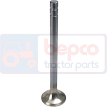 EXHAUST VALVE , Volvo, Engine and components, Cylinder head, Exhaust valve, , EXHAUST VALVE , 36/BM-420192, , 0.00 kg