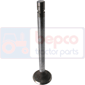 INLET VALVE , Volvo, Engine and components, Cylinder head, Intake valve