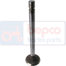 INLET VALVE , Volvo, Engine and components, Cylinder head, Intake valve, , INLET VALVE , 36/BM-781204, , 0.18 kg