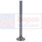 EXHAUST VALVE , Volvo, Engine and components, Cylinder head, Exhaust valve