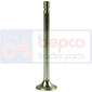 EXHAUST VALVE , Volvo,  - 600, Engine and components, Cylinder head, Exhaust valve