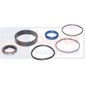 REPAIR KIT         , Landini, 60 - 6060