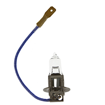 BULB 12V, Electrical, Electrical components, Lighting, Bulb 12V, , BULB 12V, P610003, , 0.01 kg