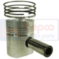 PISTON WITH RINGS , Same, Sirenetta - Sirenetta, Engine and components, Pistons-Ring sets-Liners, Piston and ring