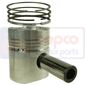 PISTON WITH RINGS         , Same, Panther - Panther 88