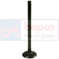 EXHAUST VALVE , Same, Engine and components, Cylinder head, Exhaust valve