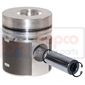 PISTON & PIN , Zetor, Engine and components, Pistons-Ring sets-Liners, Piston